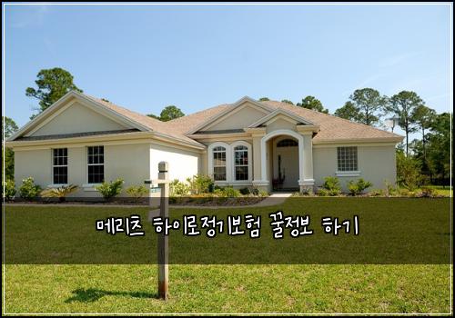 메리츠 하이로정기보험 꿀정보  하기
