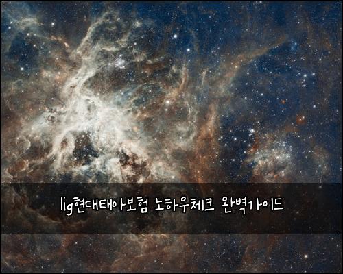 lig현대태아보험 노하우체크  완벽가이드