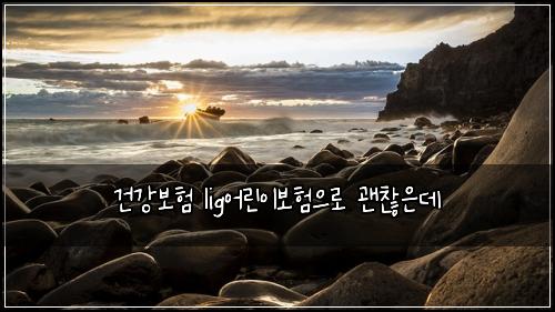 건강보험 lig어린이보험으로 괜찮은데