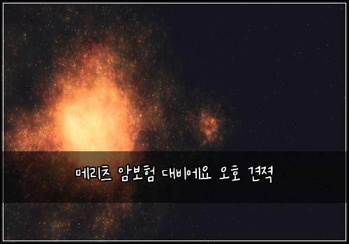 메리츠 암보험 대비에요  오호 견젹