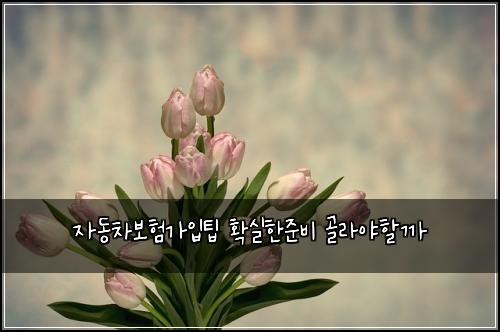์๋์ฐจ๋ณดํ๊ฐ์
ํ ํ์คํ์ค๋น ๊ณจ๋ผ์ผํ ๊น