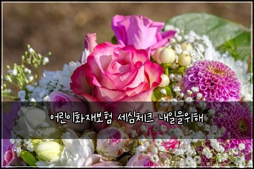 어린이화재보험 세심체크  내일을위해