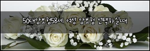 50๋์๋ณดํ58์ธ ์ฌ์ฑ ์๋ณดํ ์ ํํ์ค๋