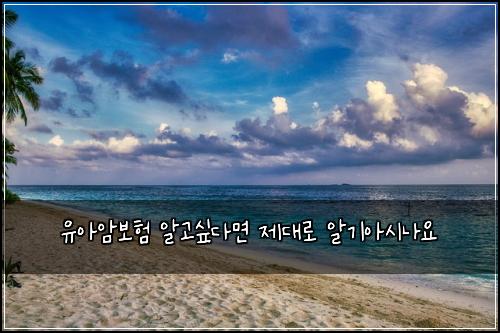 μ μμ보ν μκ³ μΆλ€λ©΄ μ λλ‘ μκΈ°μμλμ