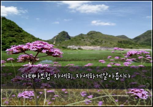 다태아보험 자세히  자세하게알아봅시다