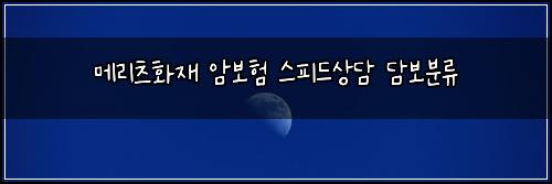 메리츠화재 암보험 스피드상담  담보분류