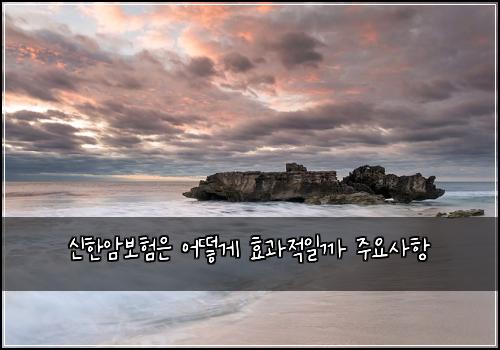 신한암보험은 어떻게 효과적일까 주요사항