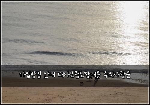 가입방법 안내 태아보험보장내용 주의사항은