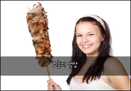 오늘의 색상