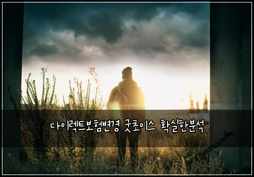 다이렉트보험변경 굿초이스 확실한분석