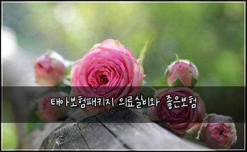 태아보험패키지 의료실비와 좋은보험