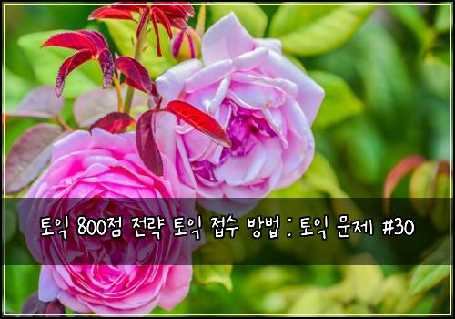 토익 800점 전략 토익 접수 방법 : 토익 문제 #30