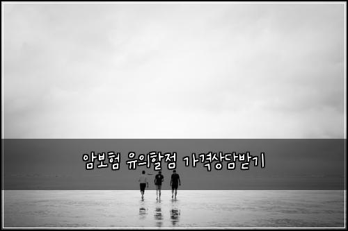 μ보ν μ μν μ κ°κ²©μλ΄λ°κΈ°