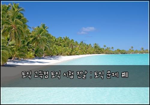 토익 고득점 토익 시험 전날 : 토익 문제 #11