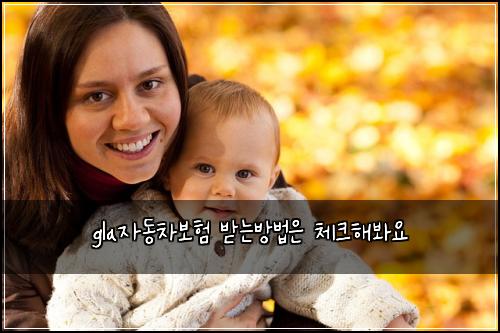 gla์๋์ฐจ๋ณดํ ๋ฐ๋๋ฐฉ๋ฒ์ ์ฒดํฌํด๋ด์