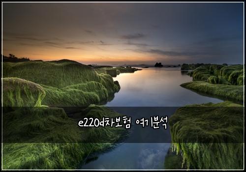 e220d차보험 여기분석 