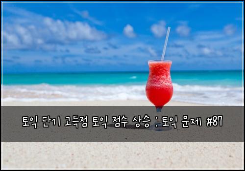 토익 단기 고득점 토익 점수 상승 : 토익 문제 #87