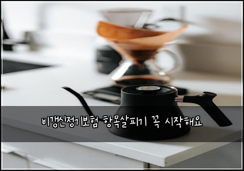 비갱신정기보험 항목살피기  꼭 시작해요