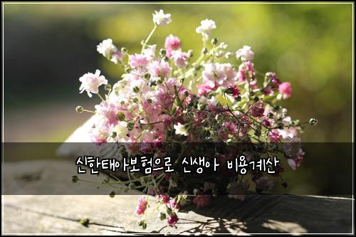 신한태아보험으로 신생아 비용계산