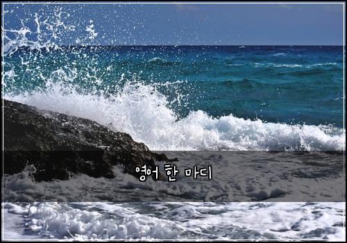 영어 한 마디