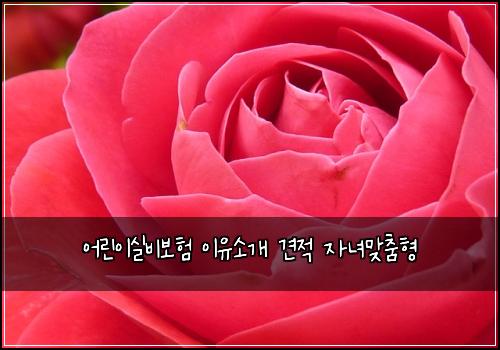 어린이실비보험 이유소개  견적 자녀맞춤형
