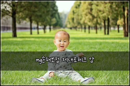 mg손해보험 제대로체크  암