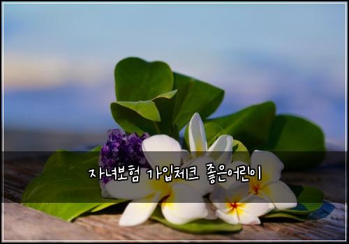 자녀보험 가입체크  좋은어린이