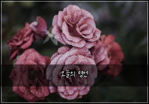 오늘의 명언