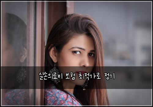 실손의료비 보험 최적가로  정기