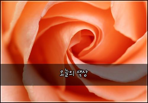 오늘의 색상