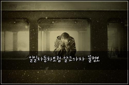 일일자동차보험 알고가자  꿀정보
