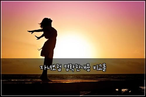 자녀보험 명확한내용  비교몰