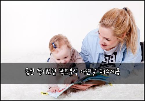 종신 정기보험 팩트분석  어떤걸 해주세욪