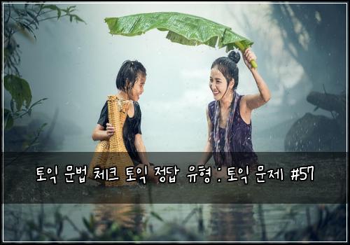 토익 문법 체크 토익 정답 유형 : 토익 문제 #57