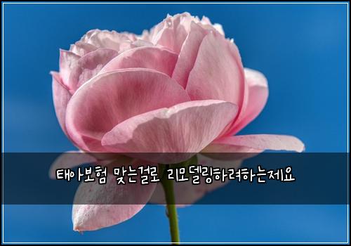 태아보험 맞는걸로  리모델링하려하는제요