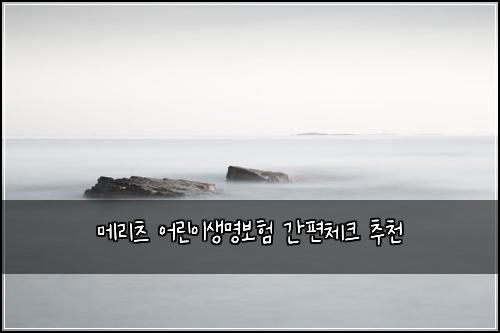 메리츠 어린이생명보험 간편체크  추천