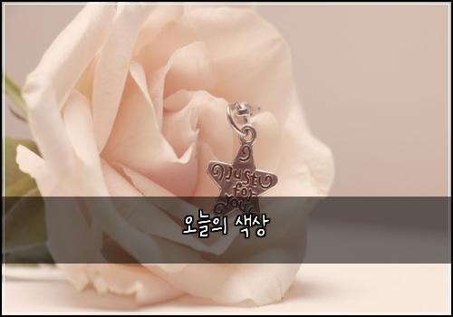 오늘의 색상