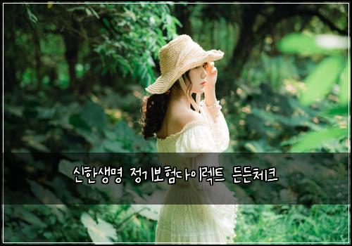 신한생명 정기보험다이렉트 든든체크