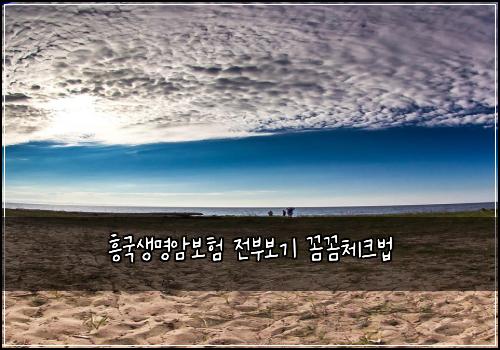 흥국생명암보험 전부보기  꼼꼼체크법