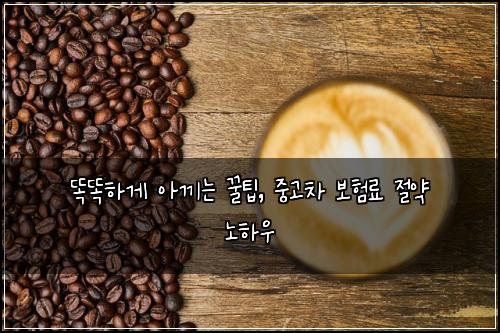  똑똑하게 아끼는 꿀팁, 중고차 보험료 절약 노하우