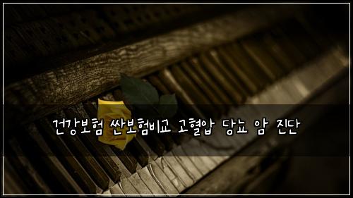 건강보험 싼보험비교  고혈압 당뇨 암 진단