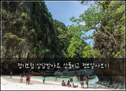 정기보험 상담받아요  상품비교 정보알아보기