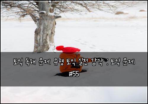 토익 독해 문제 유형 토익 실전 감각 : 토익 문제 #55