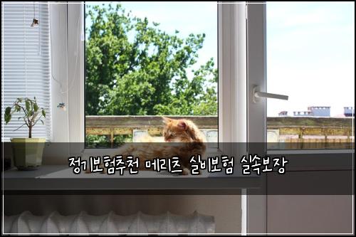정기보험추천 메리츠 실비보험 실속보장
