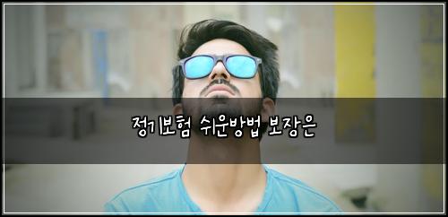 정기보험 쉬운방법  보장은
