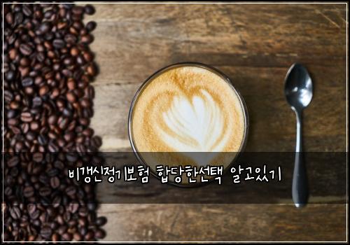 비갱신정기보험 합당한선택  알고있기