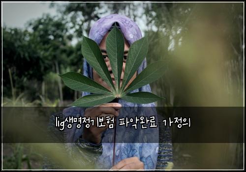 lig생명정기보험 파악완료  가정의
