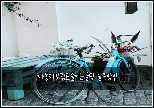 자동차보험료줄이는꿀팁 좋은방법