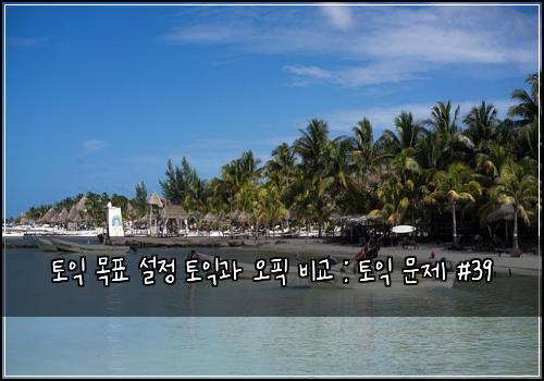 토익 목표 설정 토익과 오픽 비교 : 토익 문제 #39