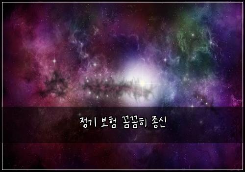 정기 보험 꼼꼼히  종신